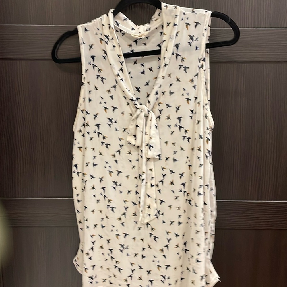 Beautiful Sheer Blouse by Ember